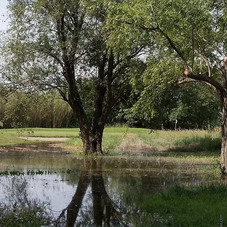 Les Hameaux De Camargue